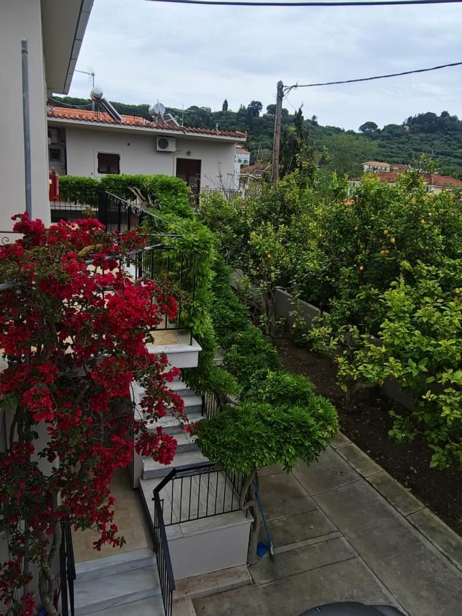 Vita Blu Apart/Hotel Tsilivi (Zakynthos) Exterior foto